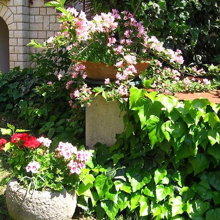 Guest House Caterina Poreč Exteriér fotografie