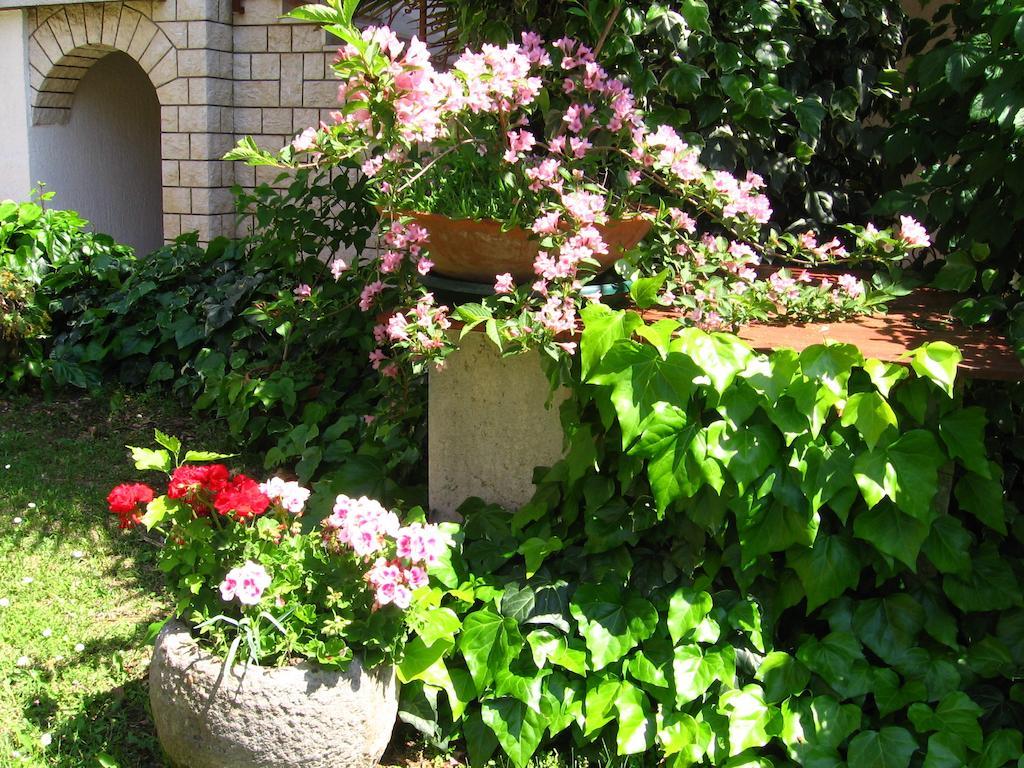 Guest House Caterina Poreč Exteriér fotografie